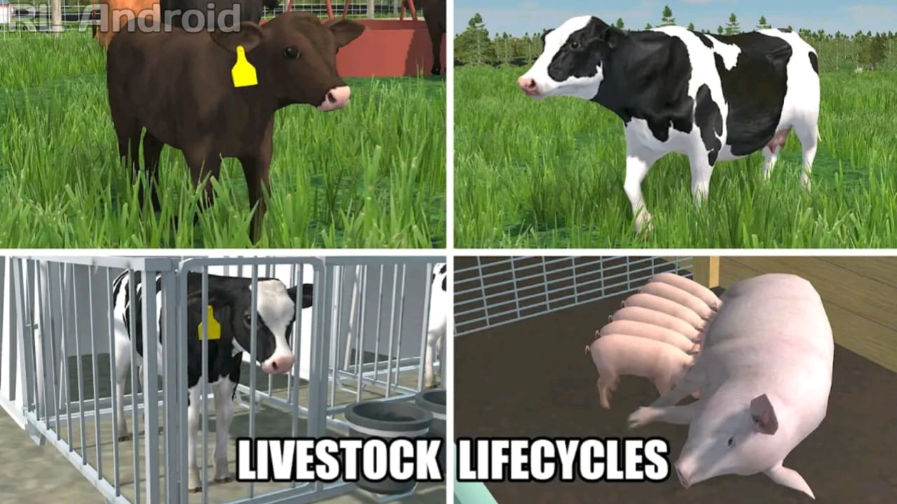 Baixar e Instalar American Farming