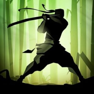 Shadow Fight 2